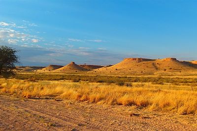 © Luce Piton - Désert du Kalahari - Namibie Désert du Kalahari - Namibie