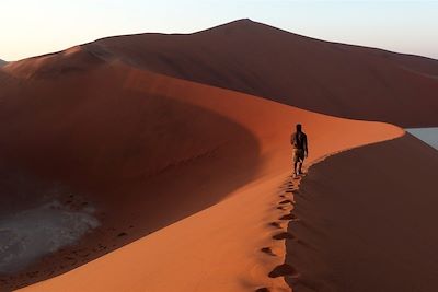 © Luce Piton - Sossusvlei et Dead Vlei - Désert du Namib - Namibie Sossusvlei et Dead Vlei - Désert du Namib - Namibie