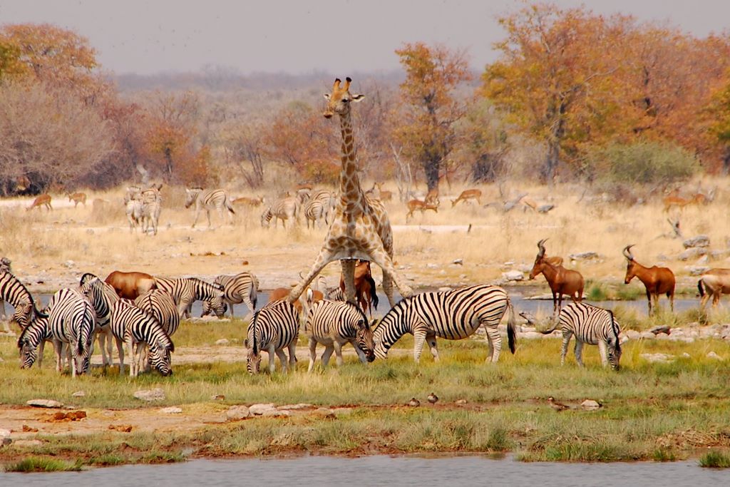 Voyage Grand trek de Namibie 2