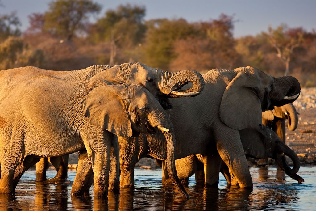 Voyage L'essentiel de la Namibie en lodge 3