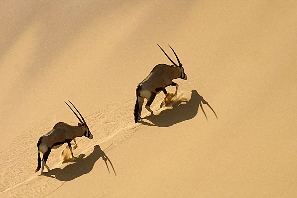 Voyage L'essentiel de la Namibie en lodge 1