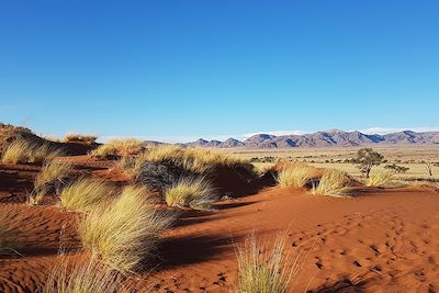 © Nicolas Honoré - Namib Desert Camp - Namibie Namib Desert Camp - Namibie