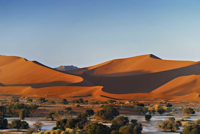 Désert du Namib - Sossusvlei - Namibie