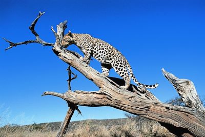 Circuits accompagnés Namibie