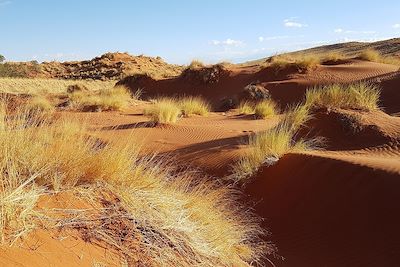 Namib Desert Camp - Namibie