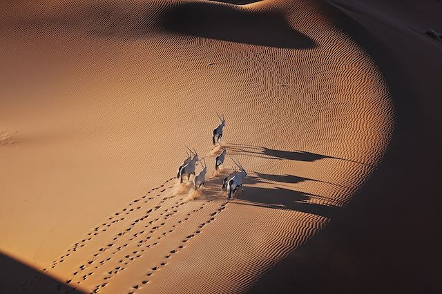 Voyage L'essentiel de la Namibie en lodge