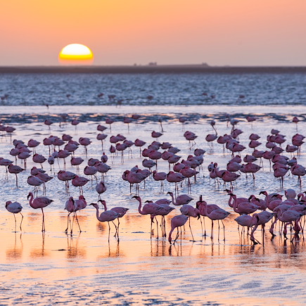 Autotour Namibie