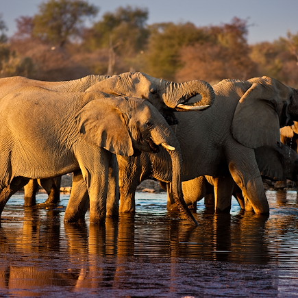 Trek Namibie Désert du Namib