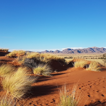 Trek Namibie Désert du Namib