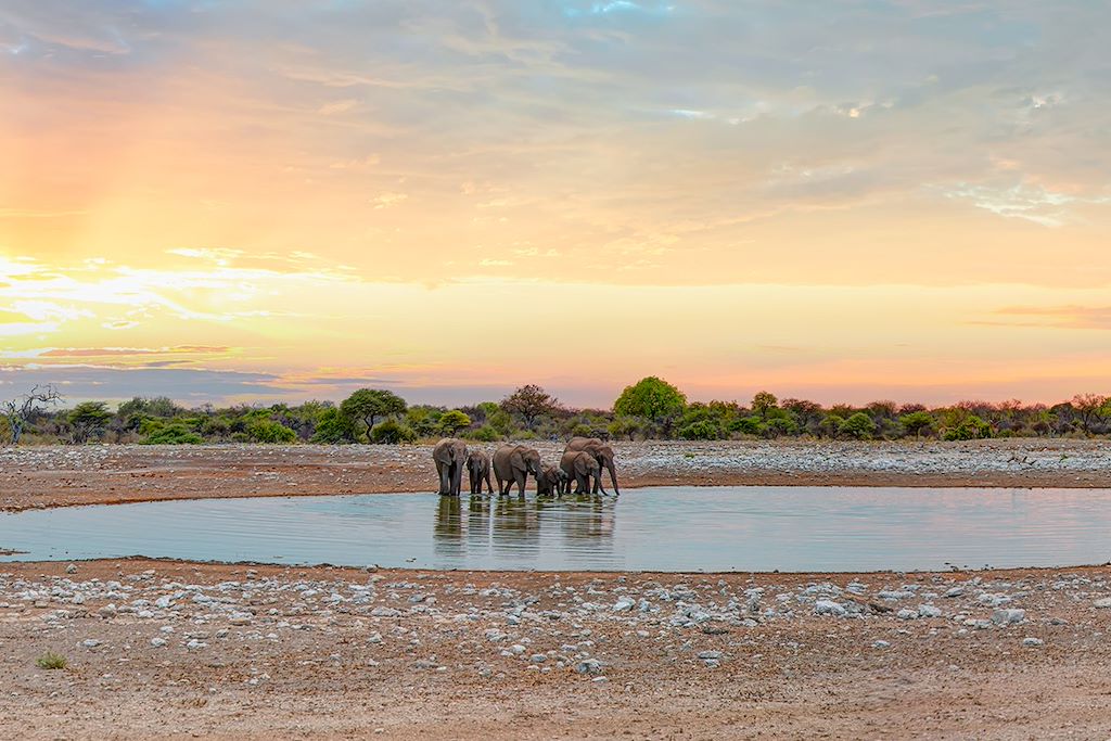 Image Safari à Etosha - Randonnée Desert du Namib - Damaraland