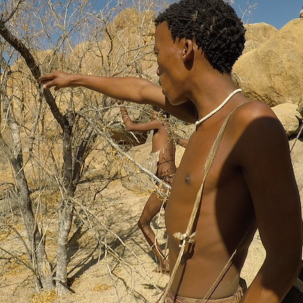 Découverte Namibie Désert du Namib