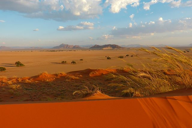 Voyage Safari, dunes et ethnies