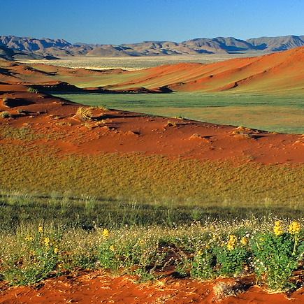 Découverte Namibie Désert du Namib