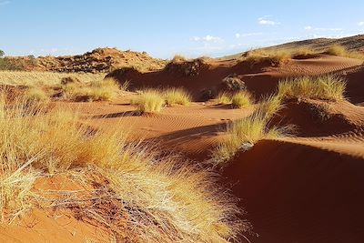 Namib Desert Camp - Namibie