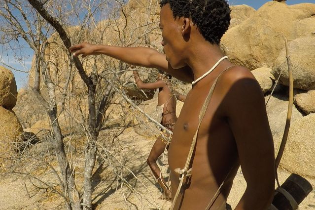 Découverte Désert du Namib