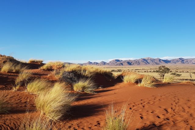 Grand trek de Namibie