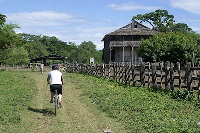 Sur le chemin du ranch - Nicaragua