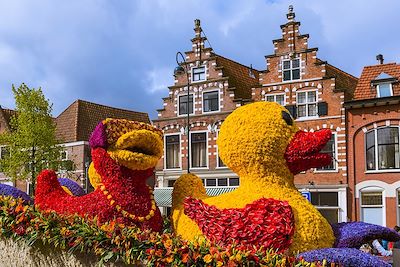 Parade de fleurs à Haarleem - Pays-Bas
