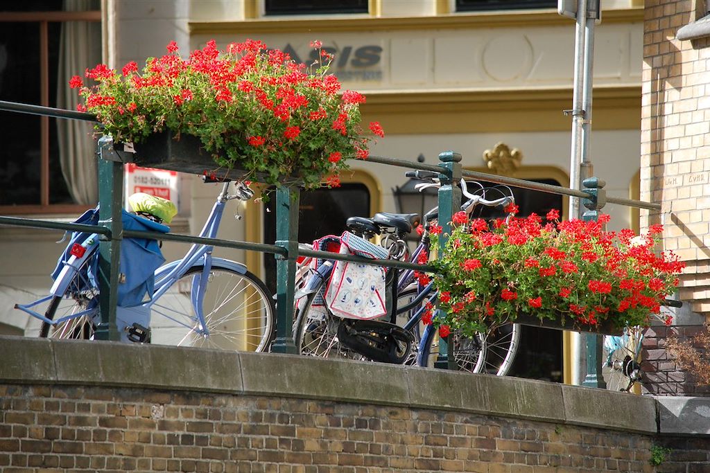 Image Séjour Amsterdam - City trip à vélo