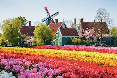 Zaanse Schans - Pays bas