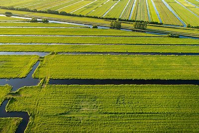 Vue aérienne de polders près de Gouda - Pays-Bas