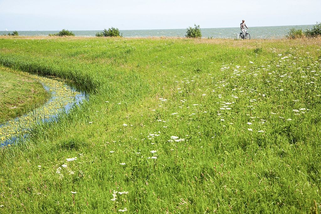 Image Ijsselmeer à vélo - lac hollandais à vélo