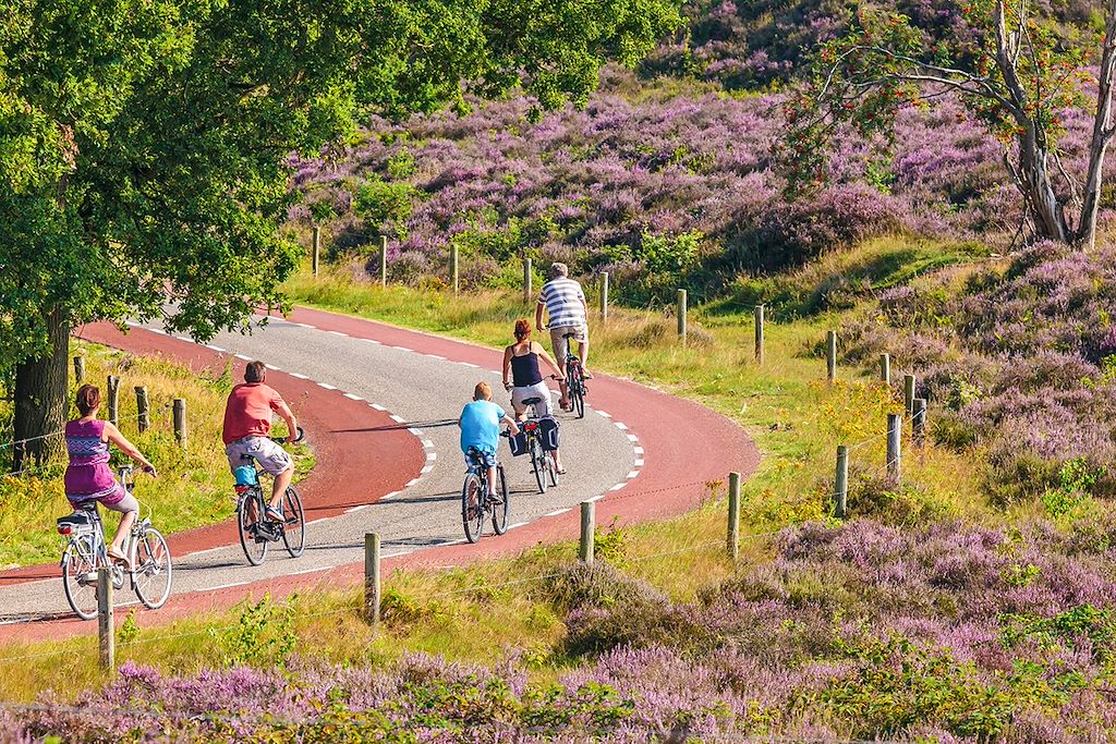 Image Ijsselmeer à vélo - lac hollandais à vélo