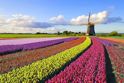 © JacobH / iStock - Pays-Bas Pays-Bas