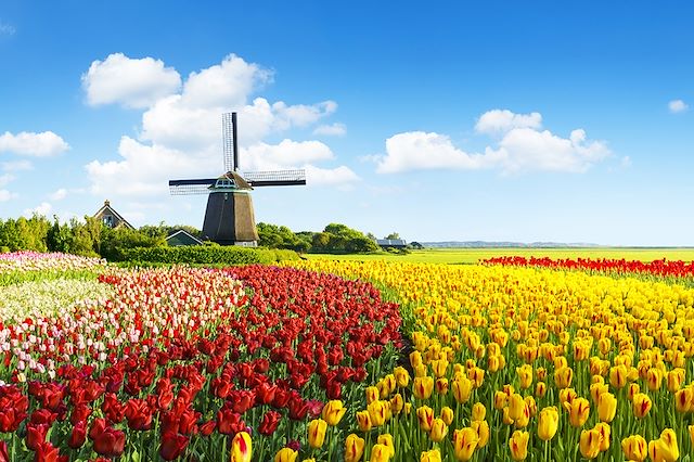 Amsterdam : Vélo et péniche, les tulipes au fil de l’eau Voyage Vélo et péniche, les tulipes au fil de l’eau
