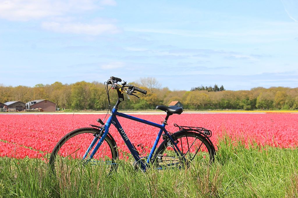 Image Voyage en Hollande - Vélo bateau