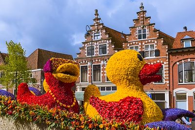 © TPopova / Getty Images - Parade de fleurs à Haarleem - Pays-Bas Parade de fleurs à Haarleem - Pays-Bas