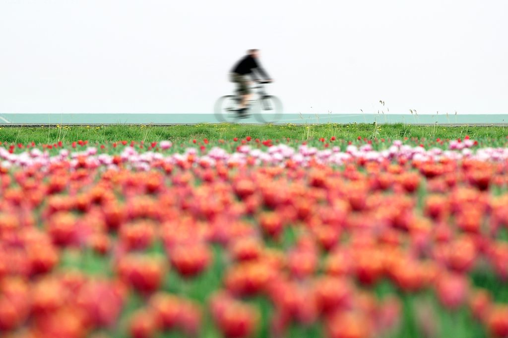 Image Voyage en Hollande - Vélo bateau