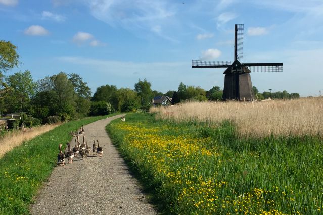 Image Le tour d'IJsselmeer à vélo