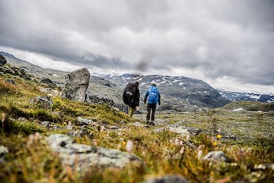 Sogn and Fjordane - Norvège