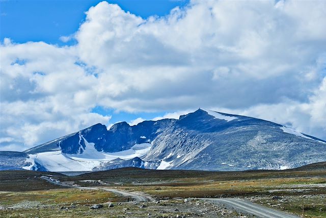 Voyage De Oslo à Bergen en train mythique