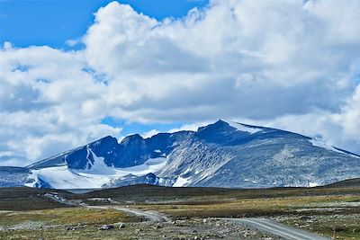 Le massif de Dovrefjell - Norvège