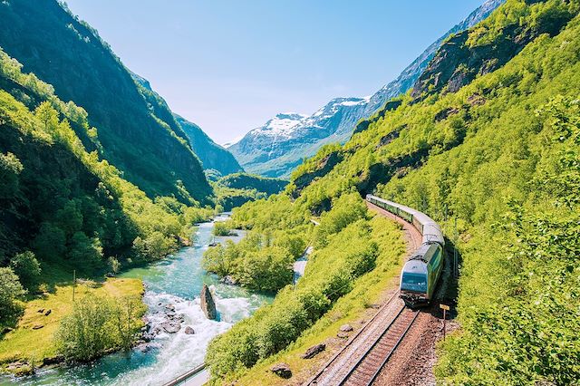 Voyage De Oslo à Bergen en train mythique