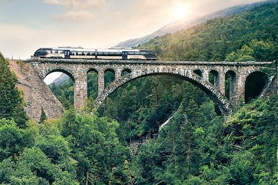 Voyage De Oslo à Bergen en train mythique 2