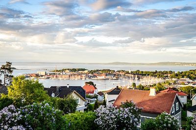 Voyage De Oslo à Bergen en train mythique 1