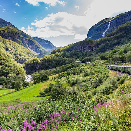 Randonnée Norvège Région des fjords