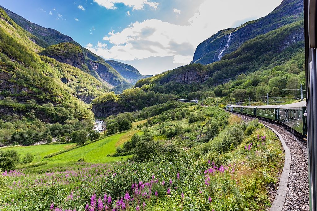 Image Randonnée Norvège - Train Oslo Bergen - train Flam
