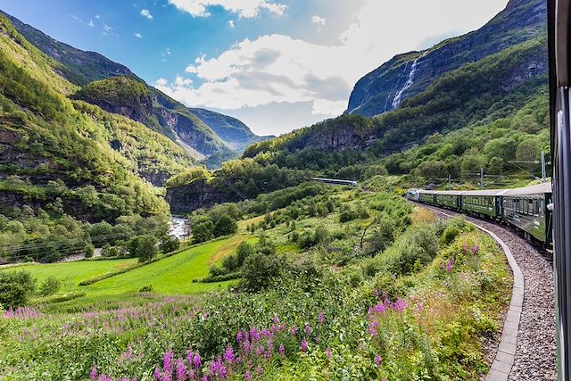 Voyage De Oslo à Bergen en train mythique