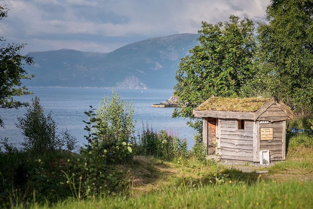 Image Randonnée Norvège - Train Oslo Bergen - train Flam