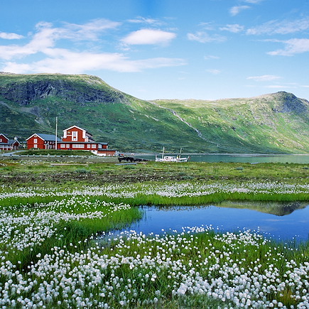 Randonnée Norvège Région des fjords