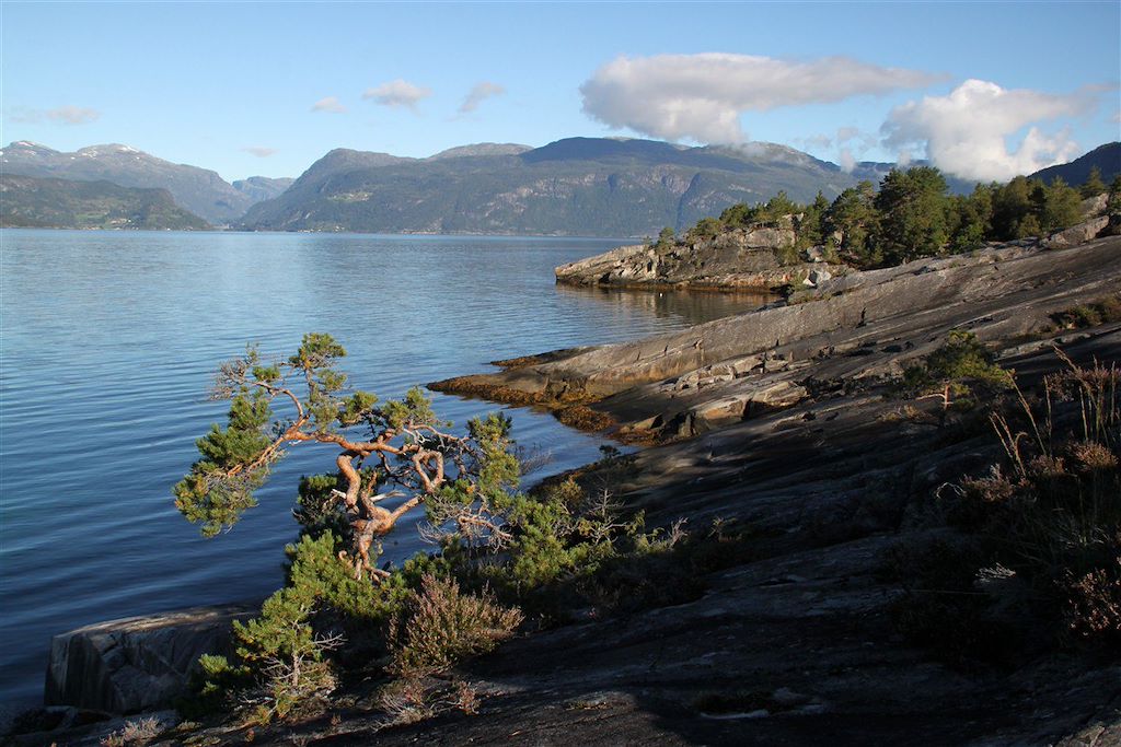 Image Visite Bergen - Randonnée Trolltunga - Randonnée Preikestolen