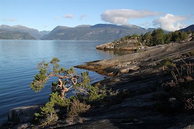 Le fjord d'Hardanger - Norvège