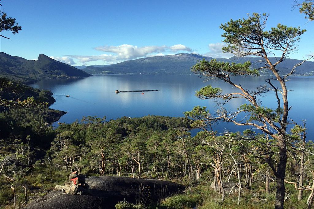 Image Visite Bergen - Randonnée Trolltunga - Randonnée Preikestolen