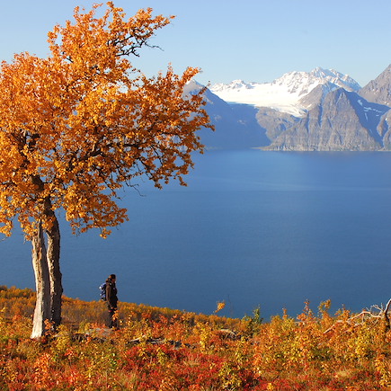 Découverte Norvège
