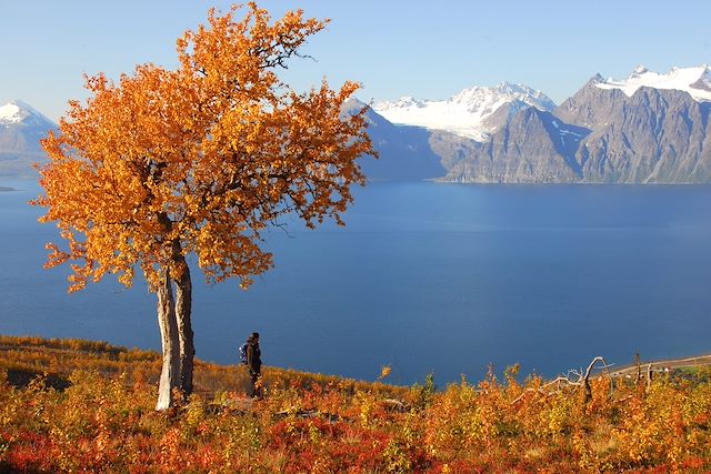 Bord de mer et îles : Terres sauvages du Cap Nord aux secrets de Senja Voyage Terres sauvages du Cap Nord aux secrets de Senja
