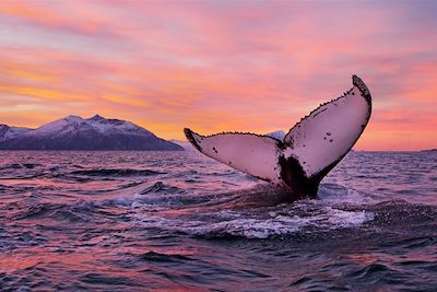 Voyages sur mesure Norvège